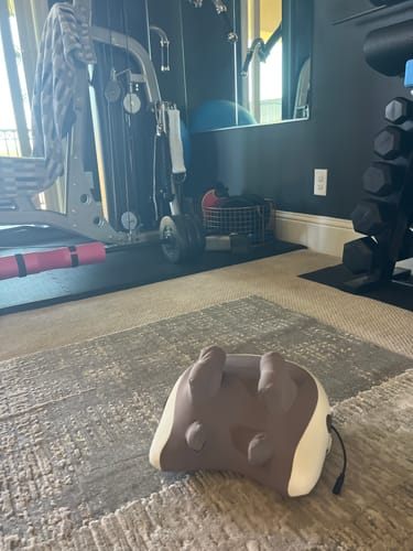 Hizoo on the floor of Marnett S.'s home gym